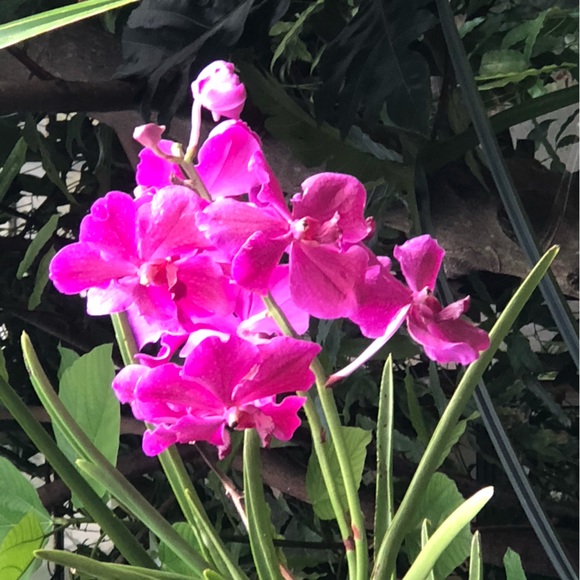 Meet your Posher, Mirta - Picture 1 of 1